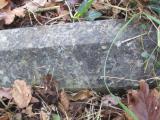 image of grave number 504689